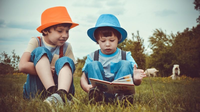 Zwei Kinder sitzen draußen im Gras und schauen gemeinsam in ein Kinderbuch. Beide tragen farbige Hüte; das ältere Kind links schaut dem jüngeren Kind beim Lesen zu. Im Hintergrund sind Bäume, ein bewölkter Himmel und unscharf zwei Hunde zu sehen. Das Bild vermittelt gemeinsames Lesen, Neugier und frühe Leseförderung.