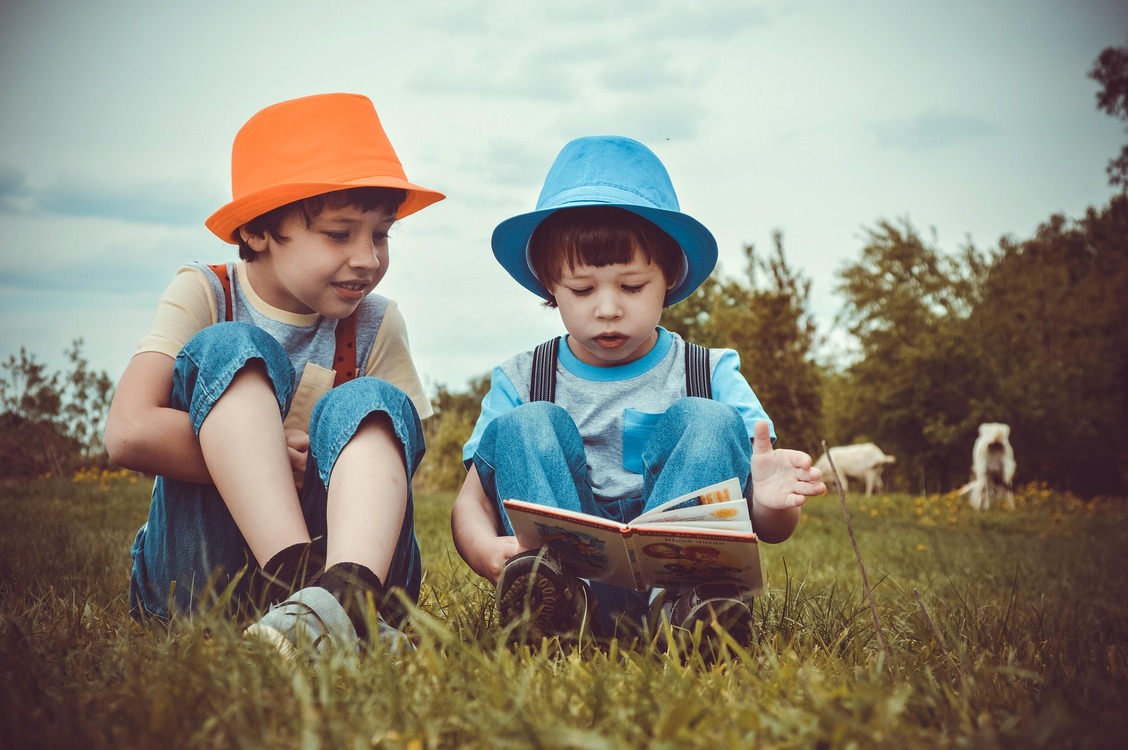 Zwei Kinder sitzen draußen im Gras und schauen gemeinsam in ein Kinderbuch. Beide tragen farbige Hüte; das ältere Kind links schaut dem jüngeren Kind beim Lesen zu. Im Hintergrund sind Bäume, ein bewölkter Himmel und unscharf zwei Hunde zu sehen. Das Bild vermittelt gemeinsames Lesen, Neugier und frühe Leseförderung.